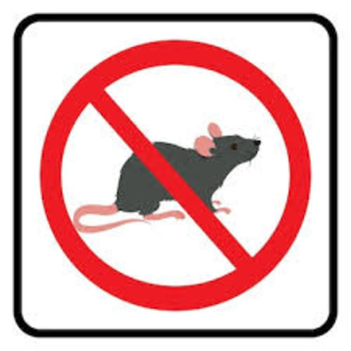 Как да премахнем мишките без отрова ? Ето 5 хуманни решения!