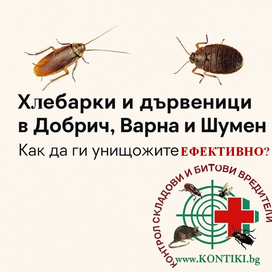 Хлебарки и дървеници в Добрич, Варна и Шумен – Как да ги унищожите ефективно?