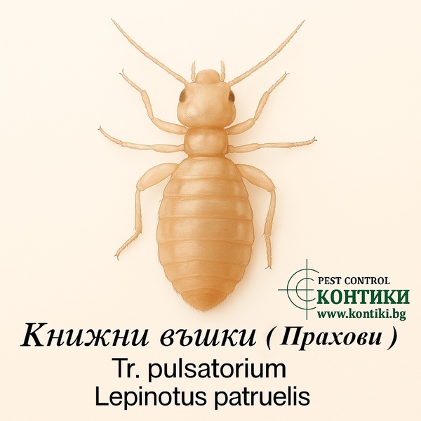 Книжни въшки Прахови Tr. pulsatorium, Lepinotus patruelis  