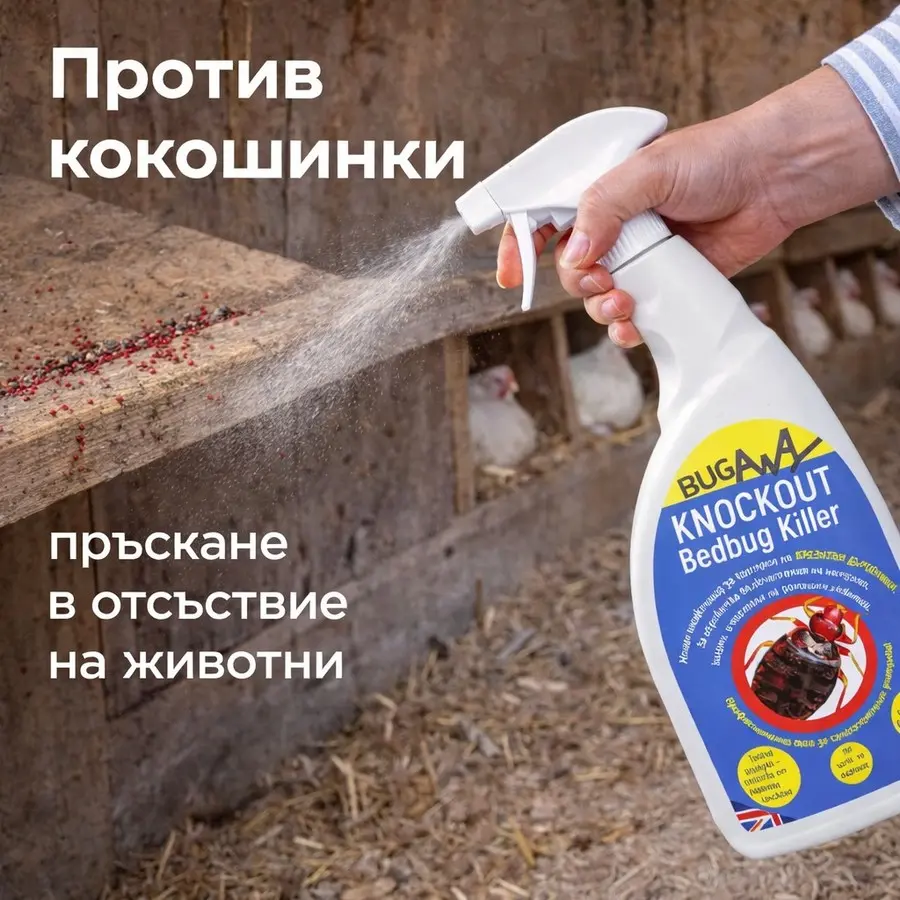 пръскане против кокошинки в птицеферма с препарат Knockout Bedbug Killer приложение в отсъствие на животни