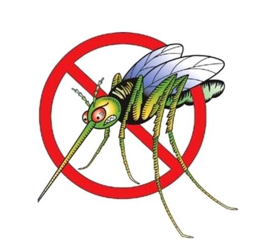 За намаляване на популацията от комари в морските общини са третирани 11 059 декара. 2011г.