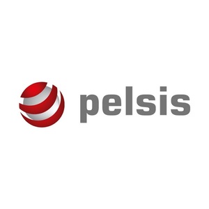 Pelsis 