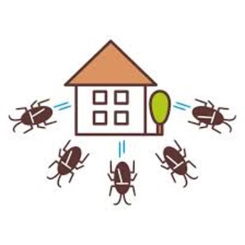 Защо да се обаждате на компания за борба с вредителите за хлебарки в дома Ви?