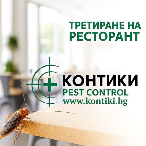 Третиране на ресторант против хлебарки