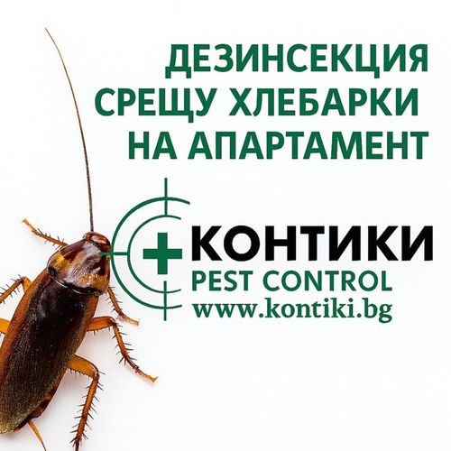 Дезинсекция срещу хлебарки на апартамент