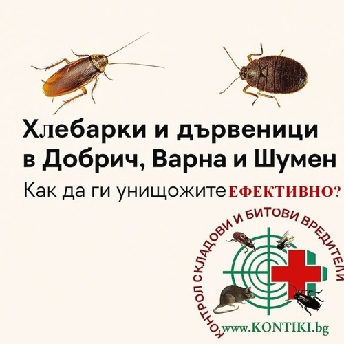 Хлебарки и дървеници в Добрич, Варна и Шумен – Как да ги унищожите ефективно?