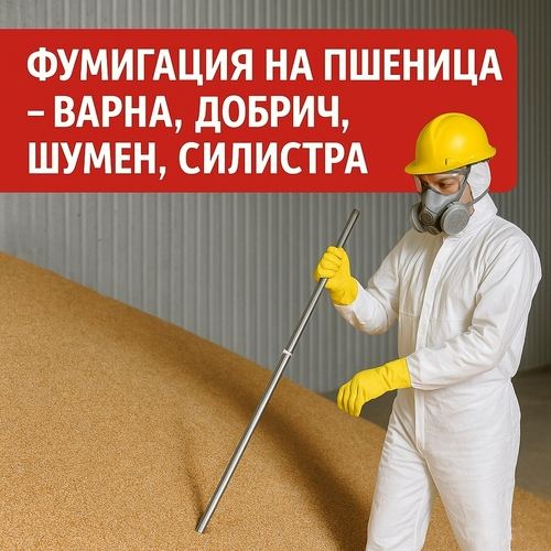 Фумигация на пшеница – Варна, Добрич, Шумен, Силистра