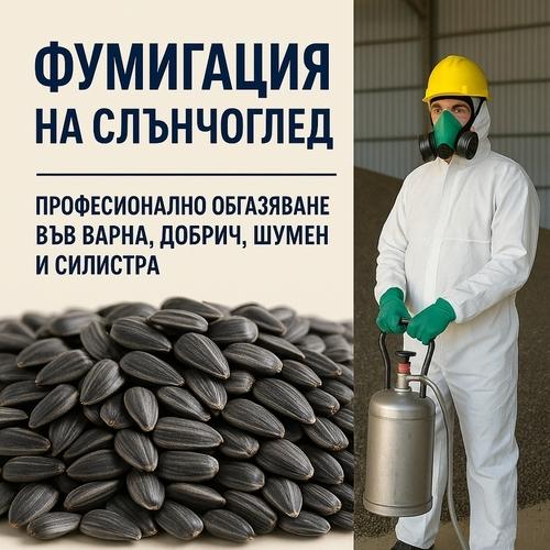 Фумигация на слънчоглед – Варна, Добрич, Шумен, Силистра