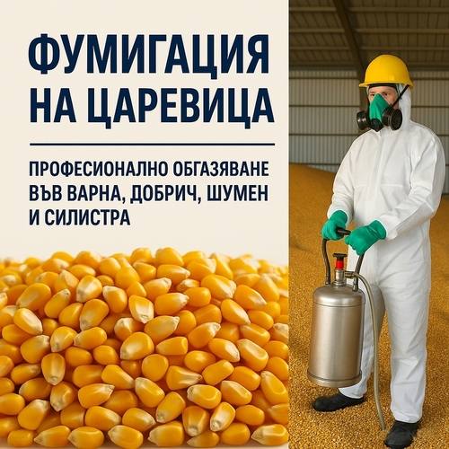 Фумигация на царевица – Варна, Добрич, Шумен, Силистра