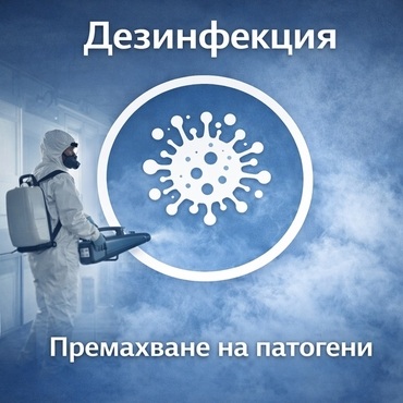 Дезинфекция на дома и бизнеса