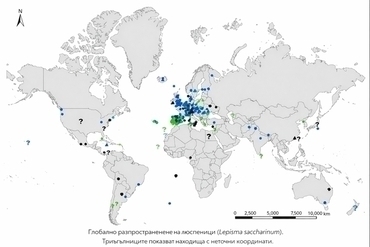 Карта на разпространението на люспеници (Lepisma saccharinum) по света