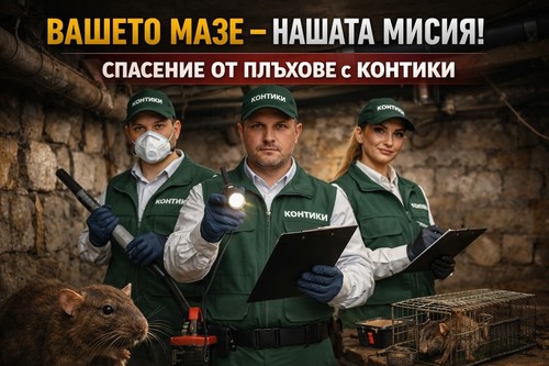 Имам плъх в мазата – какво да правя? Пълно ръководство за мазе и мазето