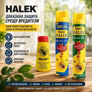 Евростар 2004