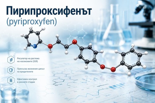 ПИРИПРОКСИФЕН – СВОЙСТВА, УПОТРЕБА, БЕЗОПАСНОСТ И РЕГУЛАТОРНИ ИЗИСКВАНИЯ