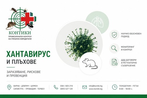 Хантавирус и плъхове: как става заразяването и какви са рисковете за хората