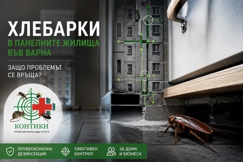 Хлебарки в панелните жилища във Варна – защо проблемът се връща отново и отново