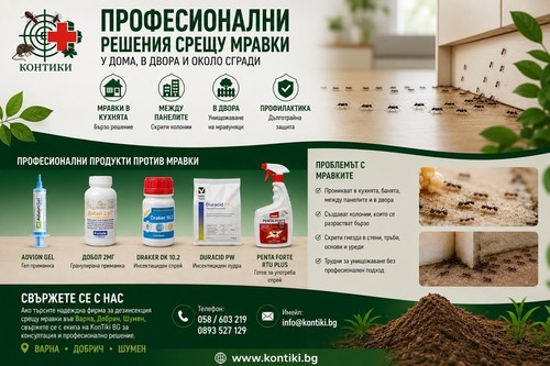 Как да се отървем от мравки вкъщи и в двора – професионални решения срещу упорити колонии