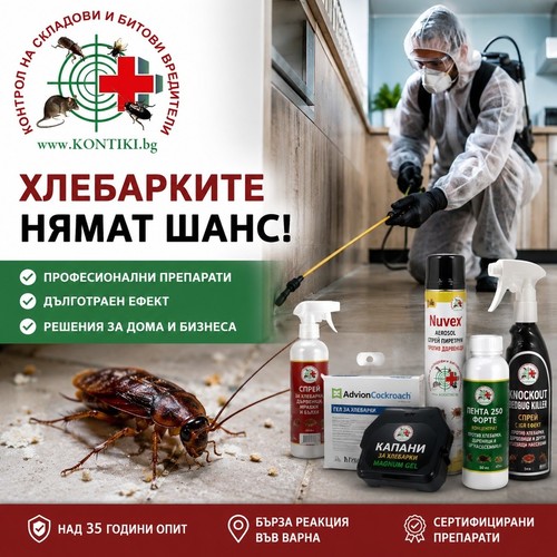 Как да се отървем от хлебарки завинаги | Най-добрите препарати 2026