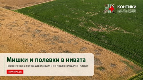 Мишки в нивата – полева дератизация и препарати срещу полевки