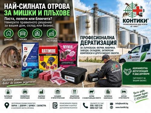 Най-силната отрова за мишки и плъхове – паста, пелети или блокчета и кога е нужна професионална дератизация