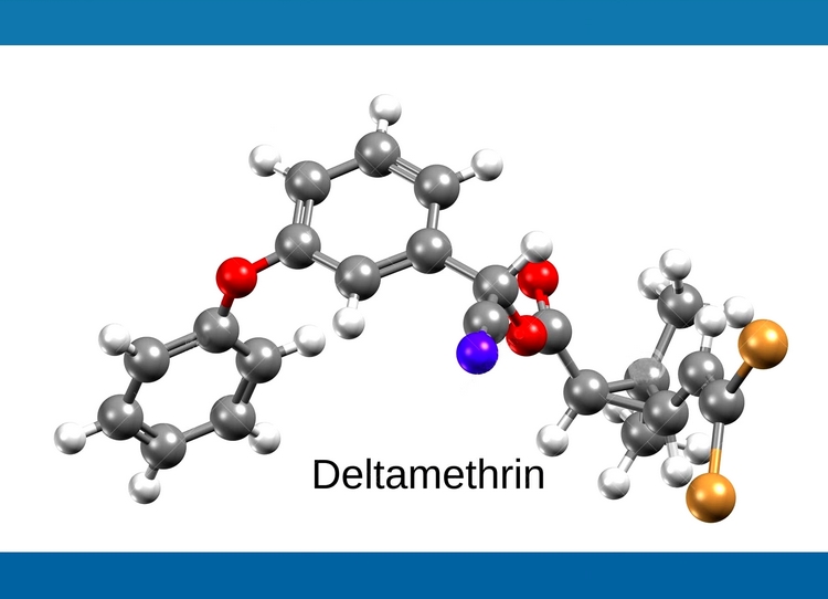 [/userfiles/files/deltamethrin-preparat.jpg]