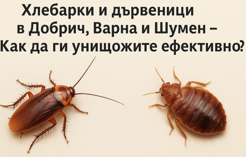 [/userfiles/files/e9d46b33-24a7-419f-aff6-57588c356168.jpg]